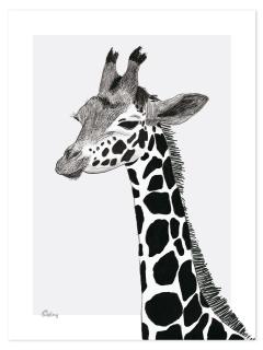 lilLilipinso Plakát Žirafa 30 x 40 cm