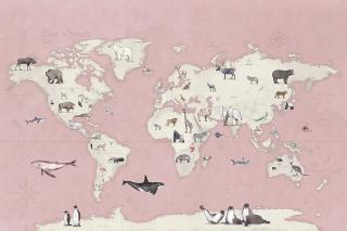 Tapeta vliesová  Mapa světa růžová
