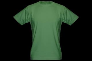 Pánské bambusové tričko (zelená) (bambusové tričko)