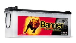 Banner Buffalo Bull 12V 150Ah 1150A 650 11