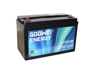 Trakční (LiFePO4) baterie GOOWEI ENERGY LITHIUM LTX110-12, 110Ah, 12V s BMS
