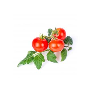 Lingot pro chytré květináče Véritable Cherry rajčata