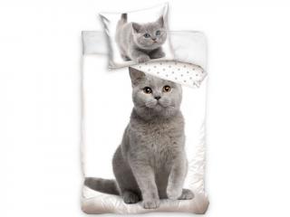 Bavlněné povlečení 140x200 + 70x90 cm - Kočka a koťátko
