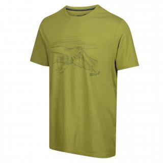 Inov-8 Graphic Tee Helvellyn green triko pánské Velikost: L