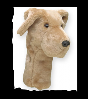 Daphnes headcover Labrador