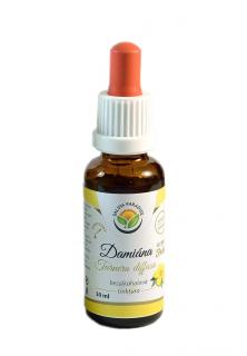 Damiána - Turnera diffusa AF tinktura 30ml Salvia Paradise