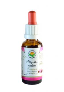 Echinacea - třapatka nachová AF tinktura 30ml Salvia Paradise