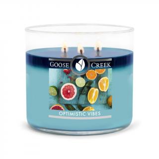 Goose Creek Candle Optimistic Vibes 411 g