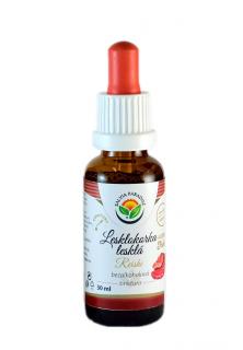 Lesklokorka lesklá AF tinktura 30ml Salvia Paradise