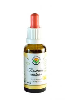 Rosolovka řasotvará AF tinktura 30ml Salvia Paradise