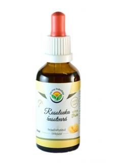 Rosolovka řasotvará AF tinktura 50ml Salvia Paradise