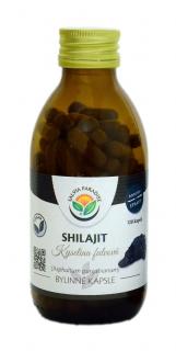 Shilajit - mumio kapsle 120ks Salvia Paradise