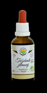 Tužebník jilmový AF tinktura 50ml Salvia Paradise