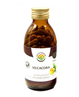 Vilcacora - Uncaria tomentosa kapsle 120ks Salvia Paradise