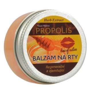 Ochranný balzám na rty Propolis HERB EXTRACT