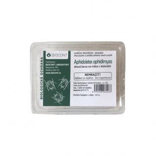 Aphidoletes aphidimyza 100ks