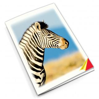 Svéhlavá zebra