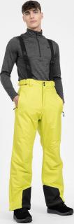 Pánské lyžařské kalhoty 4FH4Z22-SPMN001 zelené Barva: Zelená, Velikost: L