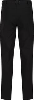Pánské trekingové kalhoty Regatta RMJ271 Highton Pro 800 černé Barva: Černá, Velikost: 30