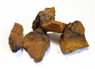 ČAGA houba 150g (Rezavec šikmý - Inonotus obliquus) (harmonizace, posílení organismu, metabolismus, trávení, obranyschopnost; antioxidant)