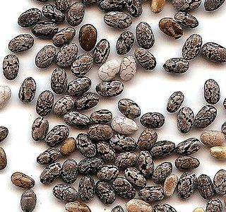 Chia semínka 250g (semínka šalvěje hispánské (salvia hispanica))