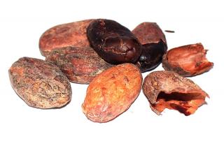 Kakaové boby Peru - nepražené, celé 100g (100% nepražené fermentované kakaové boby sekané)