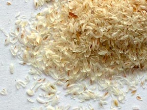 Psyllium - Jitrocel Indický 100g (Psyllium vláknina - slupky - Plantago Psyllium)