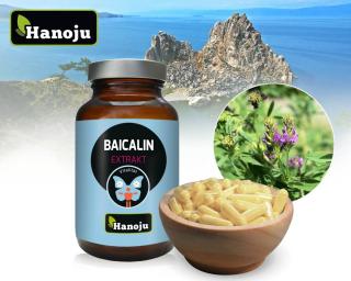 ŠIŠÁK BAJKALSKÝ extrakt - 88% baicalin, 90 Vkaps á 300mg, Hanoju (Scutellaria baicalensis, ŠIŠÁK BAJKALSKÝ)