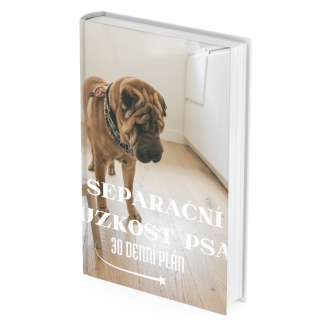E-book Jak na psa, který neumí být doma sám