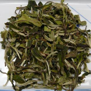 SAMPLE 5g Yue Guang Bai Cha Special White Tea