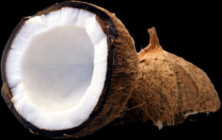 Cejlonský kokosový olej Velikost balení: 200 ml