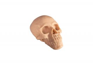 Umělá kůže Reelskin - 3D lebka