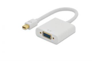 Ednet DisplayPort adapter cable, mini DP - DVI (24+5), M