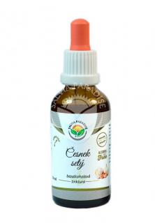 Salvia Paradise Česnek setý AF tinktura 50 ml