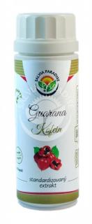 Salvia Paradise Guarana kofein standardizovaný extrakt 100 kapslí