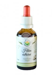Salvia Paradise Hlíva ústřičná AF tinktura 50 ml