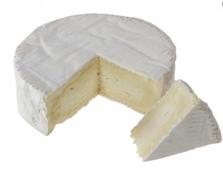 Camembert