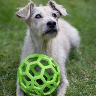Děrovaný míč pro psí obry