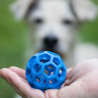 Děrovaný míč pro psí pidižvíky