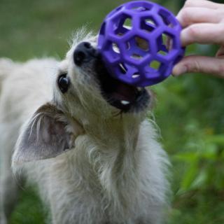 Děrovaný míč pro psí prcky