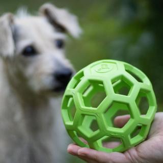 Děrovaný míč pro psí prostředníky