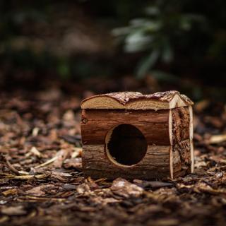 Dřevěný domek pro křečka