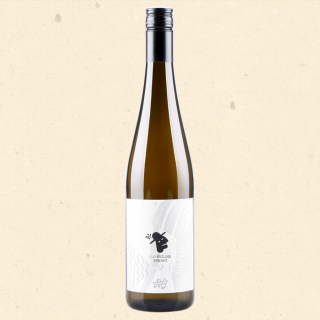 Bílé víno Ryzlink rýnský 2021, pozdní sběr, suché