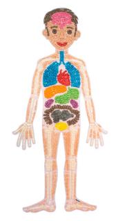 Velké anatomické puzzle PlayMais® Classic  Moje tělo