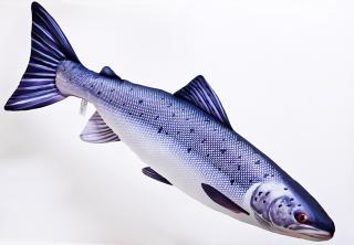 Dárek pro rybáře - Polštář ryba - Losos 80cm