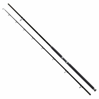 Giant Fishing prut Deluxe Catfish 2,7m 500g