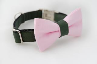 Zeleno růžový obojek s motýlkem pro psa Přezka: PLASTOVÁ přezka, Velikost: XS 18-25 cm šířka popruhu 16mm
