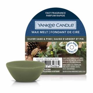 Yankee Candle - vonný vosk Silver Sage & Pine (Stříbrná šalvěj a borovice) 22g