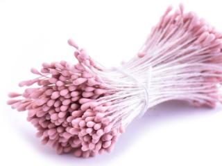 Květinové pestíky 2mm - matné Barva: růžovo-béžová