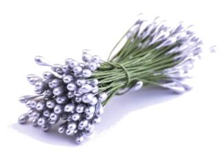 Květinové pestíky 3mm - lesklé Barva: stříbrná